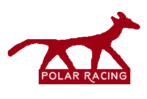 Polar Racing Logo